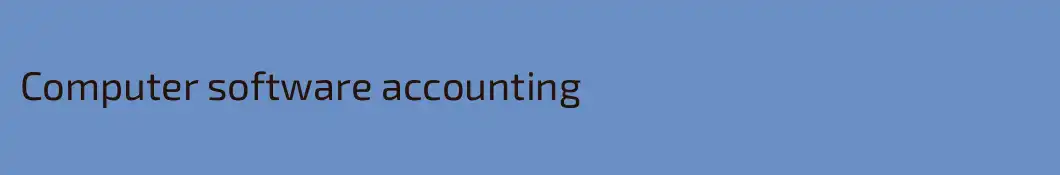 Computer software accounting 